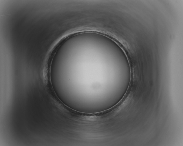 X0000102411502200808011556