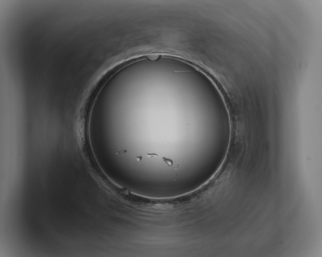 X0000102411503200808011556