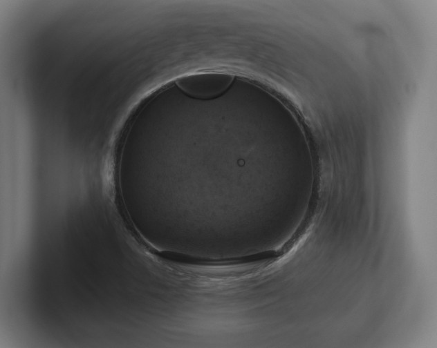 X0000102411506200808011556