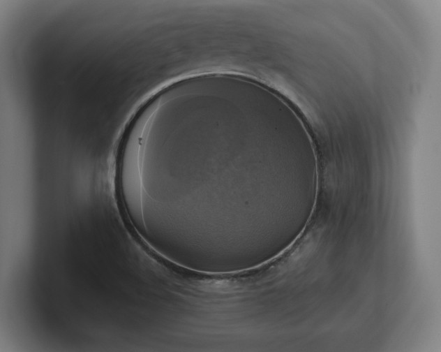 X0000102411508200808011556
