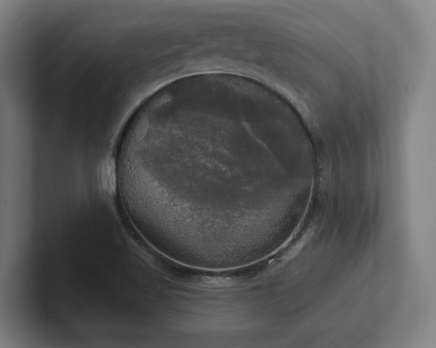 X0000102411509200808011556