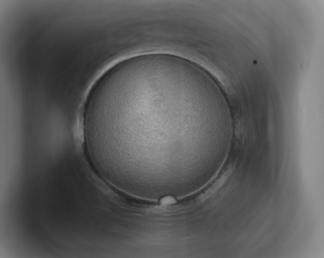 X0000102411510200808011556
