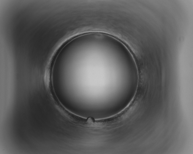 X0000102411511200808011556
