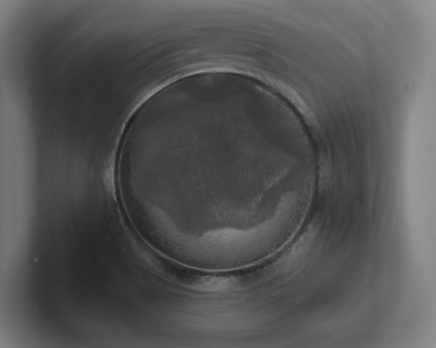 X0000102411513200808011556