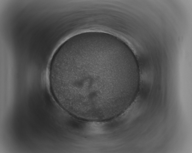 X0000102411514200808011556