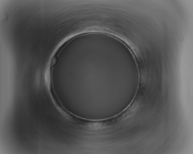 X0000102411515200808011556