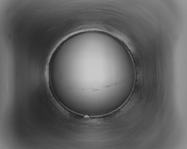 X0000102411516200808011556