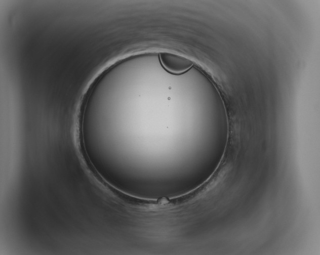 X0000102411518200808011556
