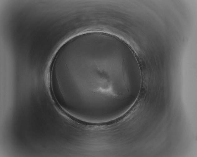 X0000102411519200808011556