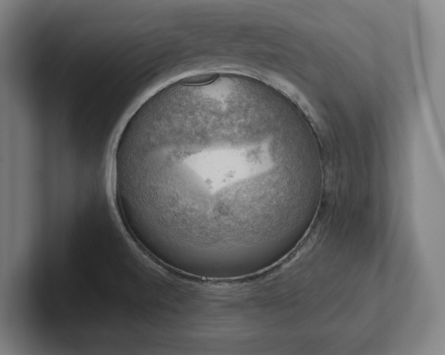 X0000102411520200808011556