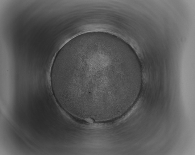 X0000102411521200808011556