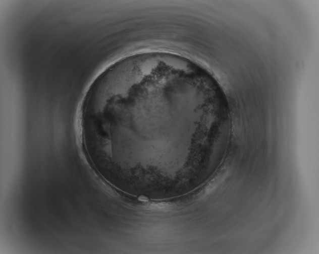 X0000102411522200808011556