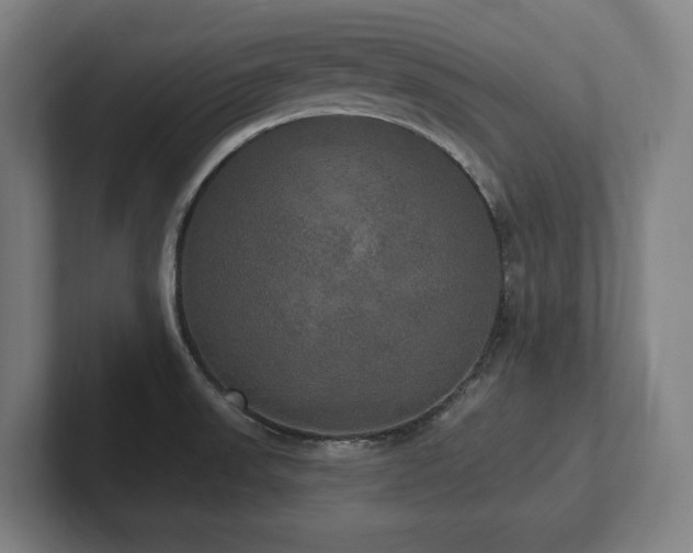 X0000102411523200808011556