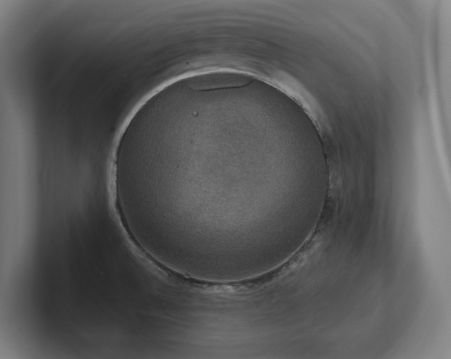X0000102411524200808011556