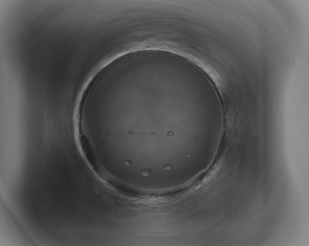 X0000102411525200808011556