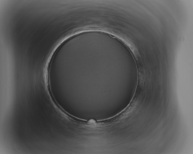 X0000102411527200808011556