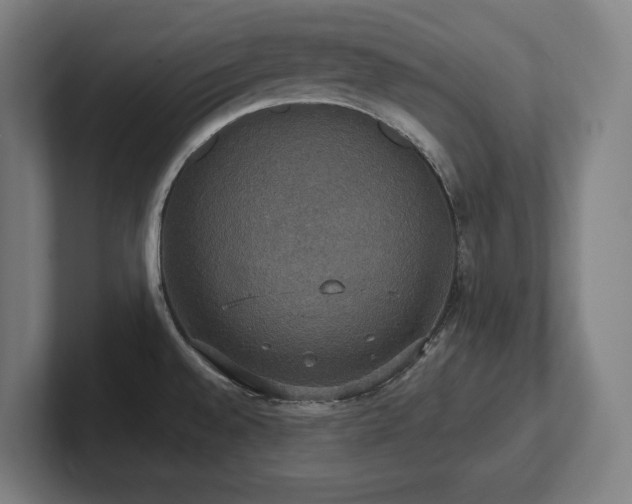 X0000102411528200808011556