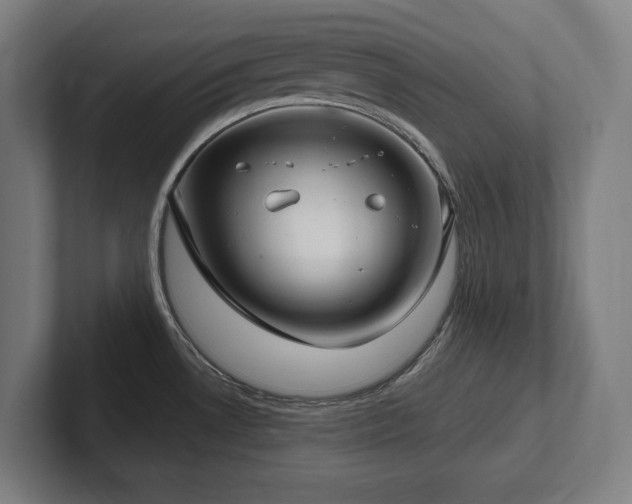 X0000102411530200808011556