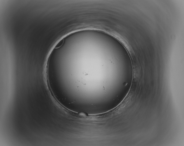 X0000102411532200808011556
