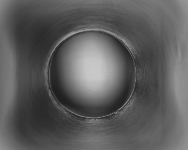 X0000102411534200808011556