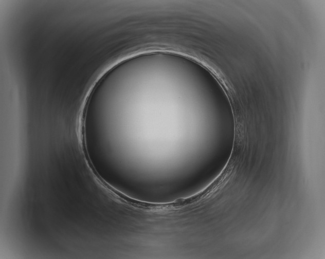 X0000102411535200808011557