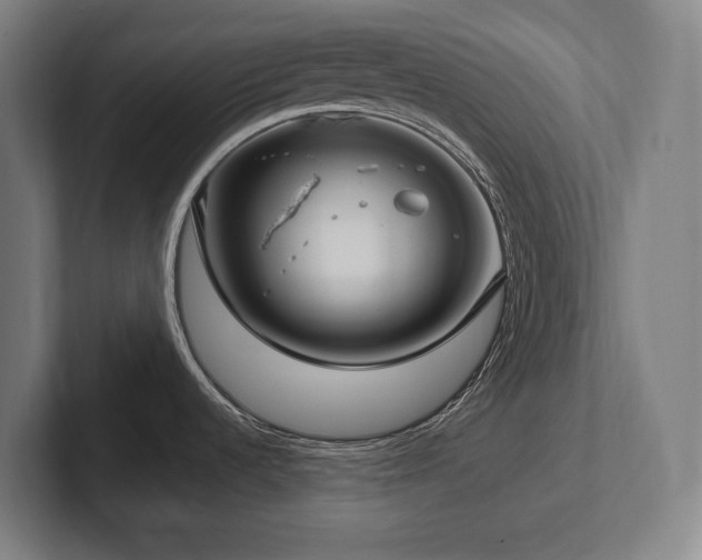 X0000102411536200808011557