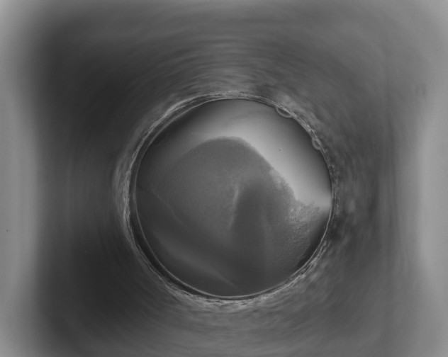 X0000102410002200808081334