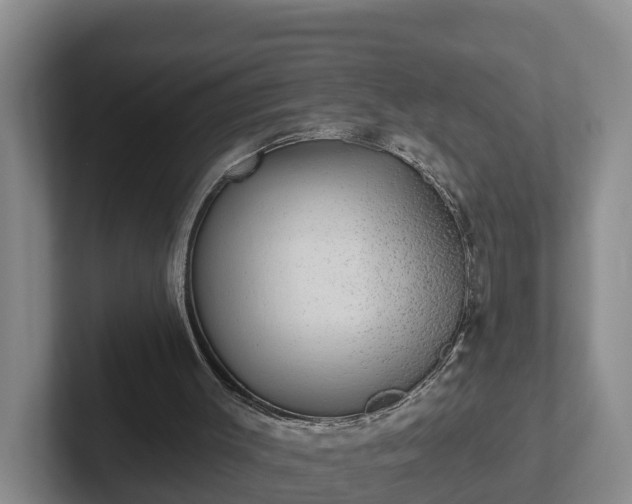 X0000102410003200808081334