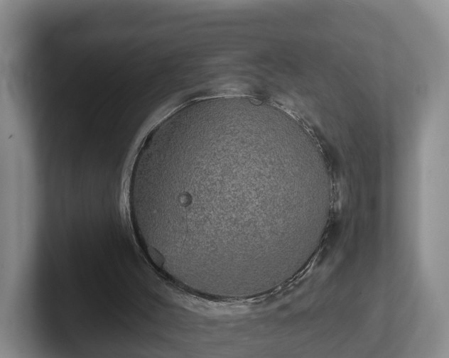 X0000102410004200808081334