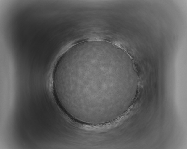 X0000102410005200808081334