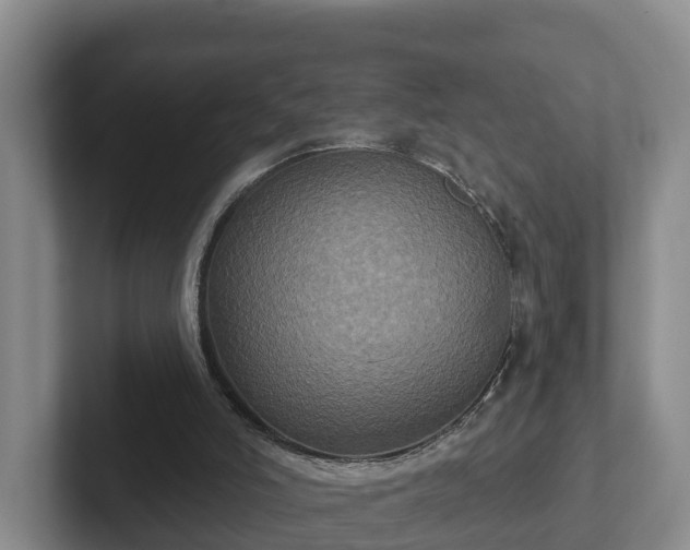 X0000102410006200808081334