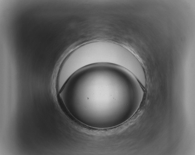 X0000102410007200808081334