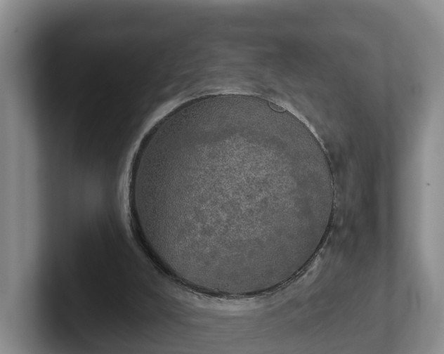 X0000102410008200808081334