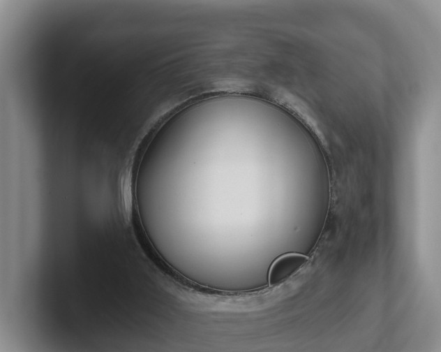 X0000102410011200808081334