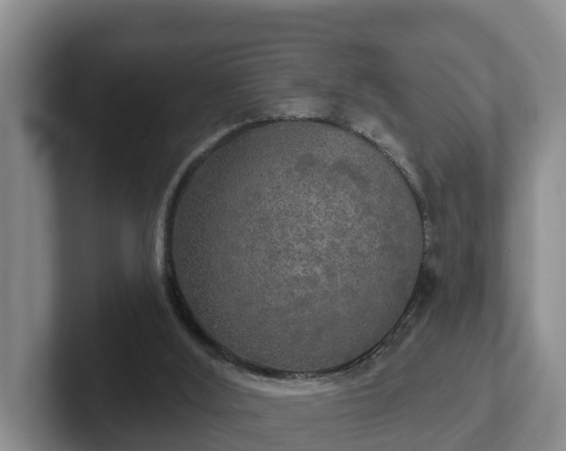 X0000102410012200808081333