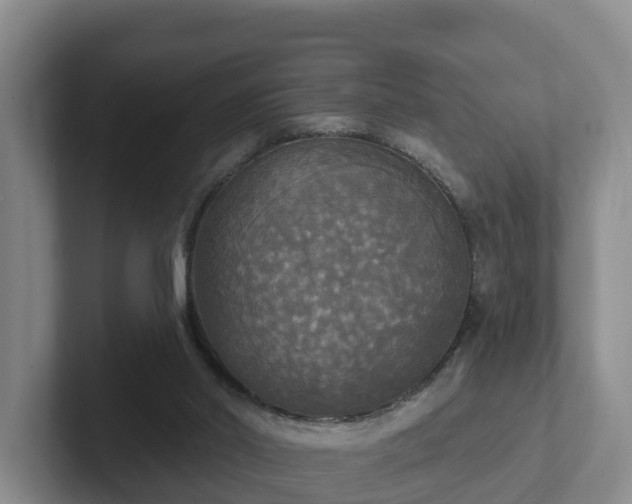 X0000102410014200808081333