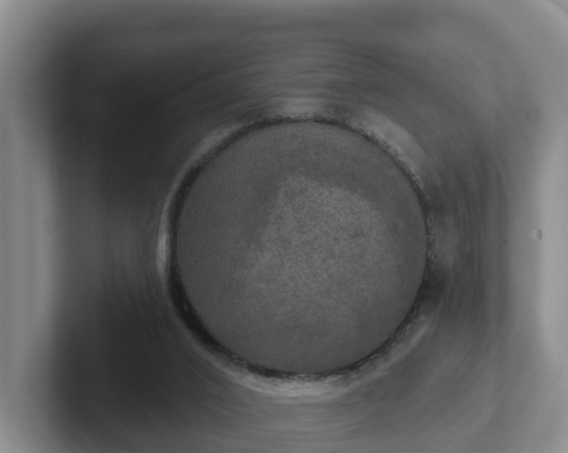 X0000102410016200808081333