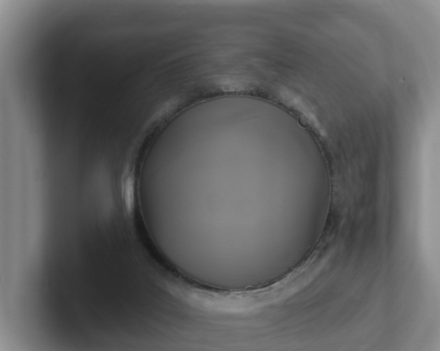 X0000102410019200808081333