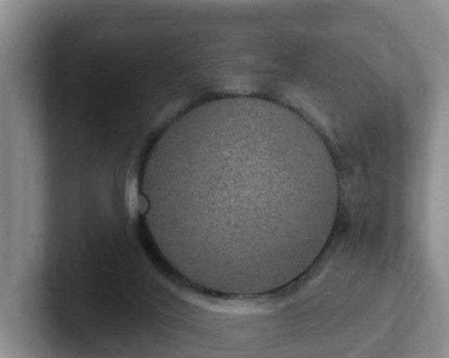 X0000102410020200808081333