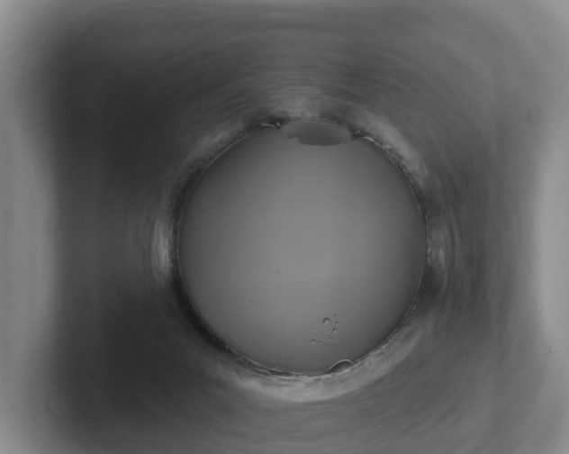 X0000102410023200808081333