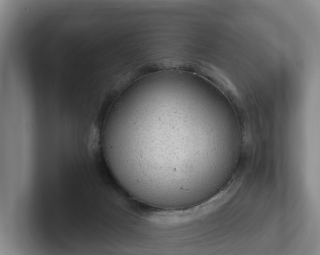 X0000102410025200808081333