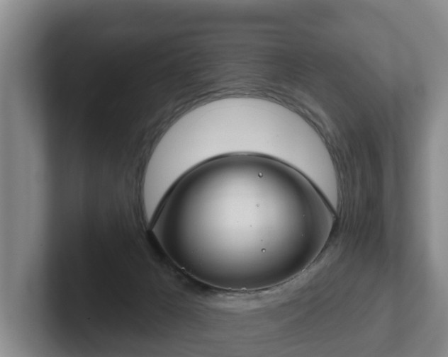 X0000102410029200808081333