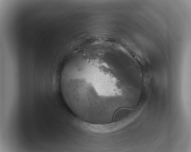 X0000102410030200808081333