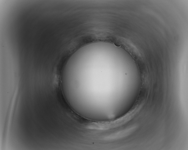 X0000102410033200808081333