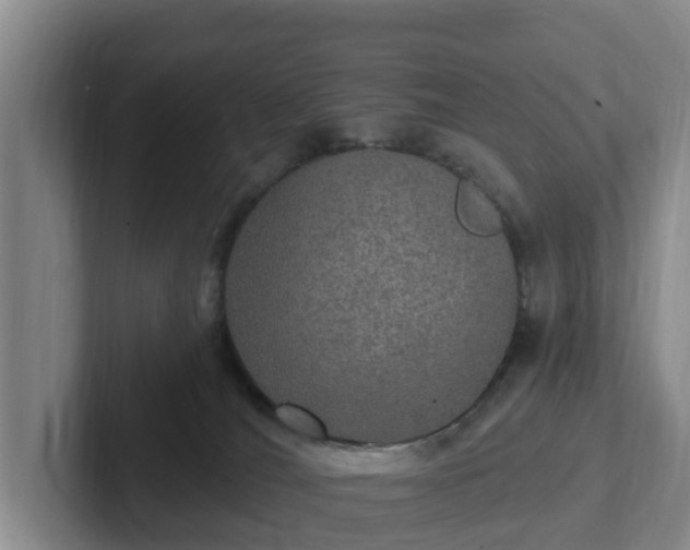 X0000102410036200808081333