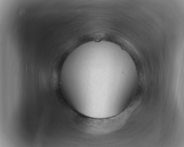 X0000102410037200808081333