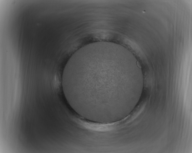 X0000102410040200808081333