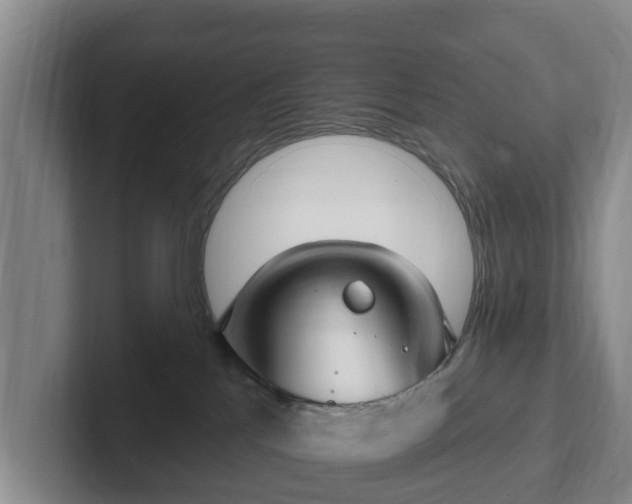 X0000102410041200808081333