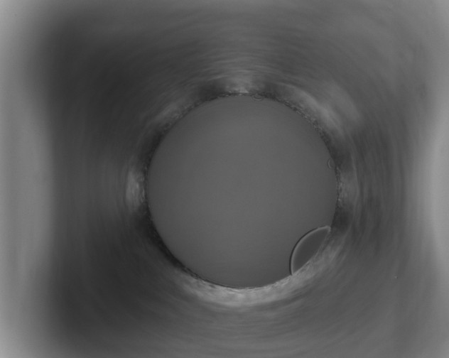 X0000102410043200808081333