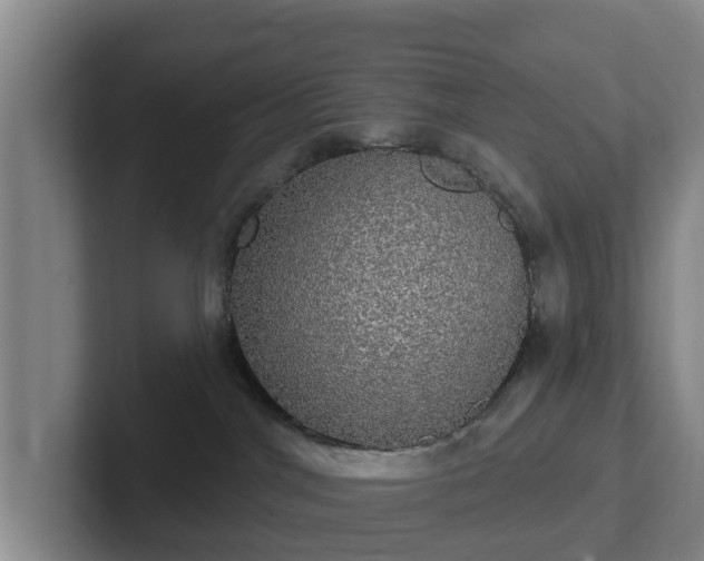 X0000102410044200808081333